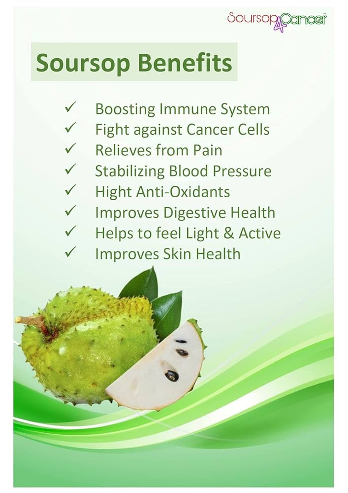 soursop fruit benefits () soursop fruit benefits