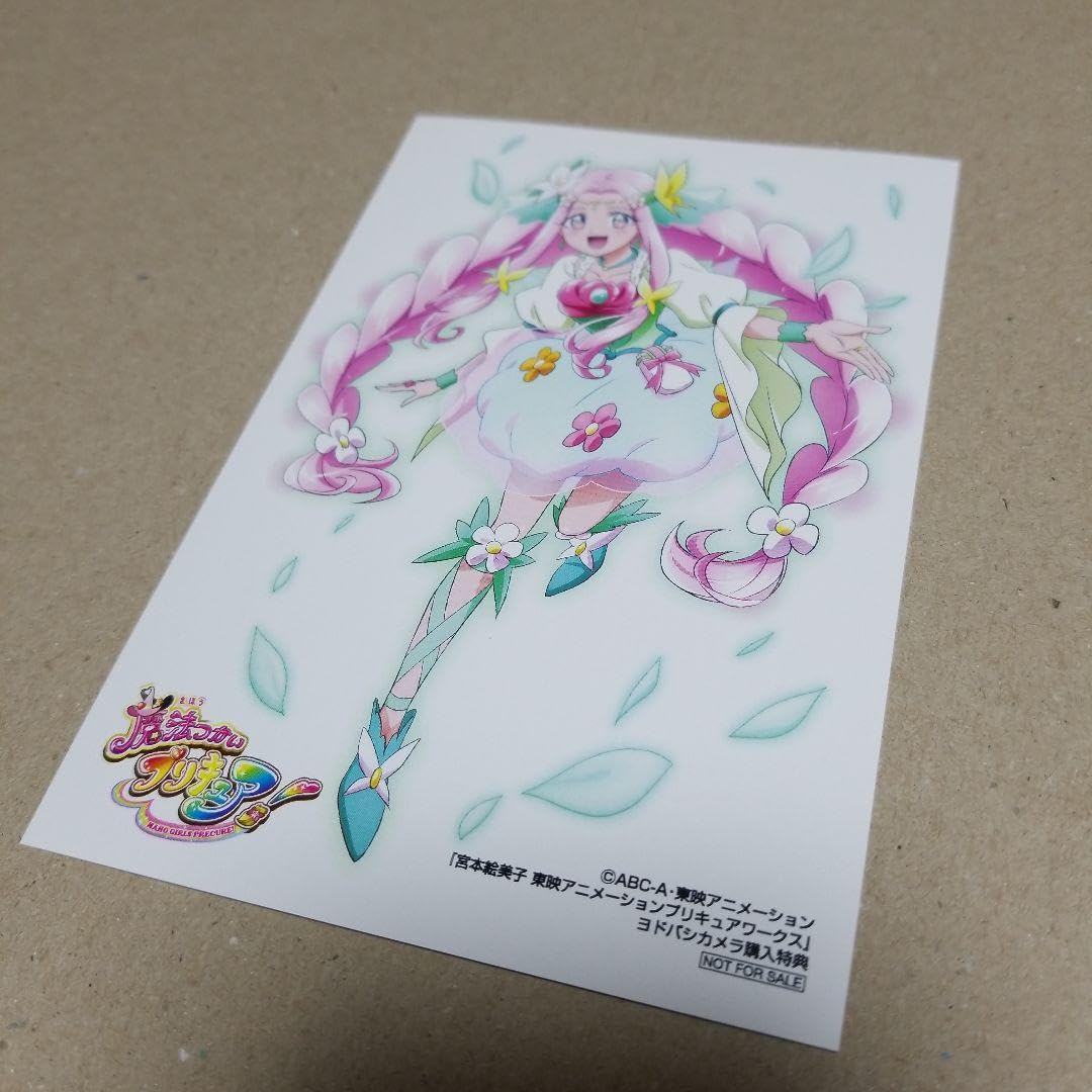 Amazon.co.jp: 宮本絵美子 プリキュアワークス 特典イカード（ヨドバシ