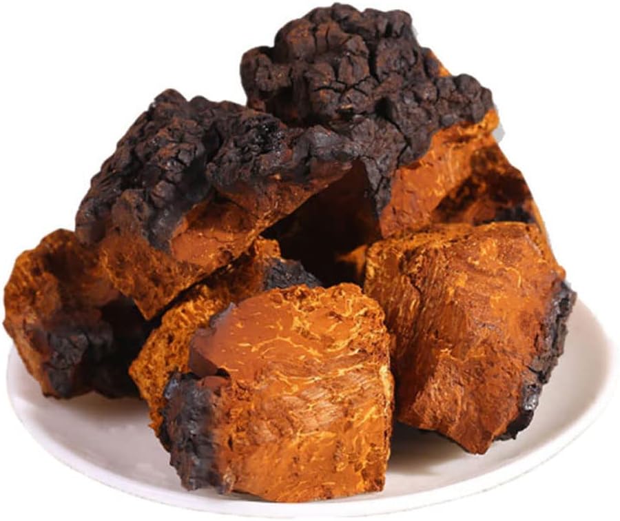 1000g Siberia Pure Natural Premium Inonotus Obliquus,Chaga Mushroom,Herbal Supplements.