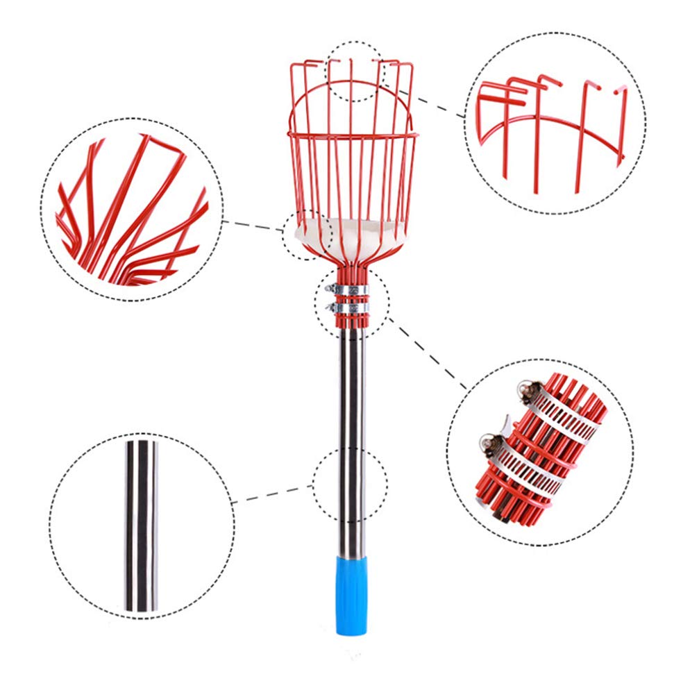 DOITOOL Raccoglifrutta Attrezzo per Frutta Dispositivo per Raccolta Frutta Asta in Acciaio Inox Raccoglifrutta Portatile Attrezzo da Giardino Sezioni