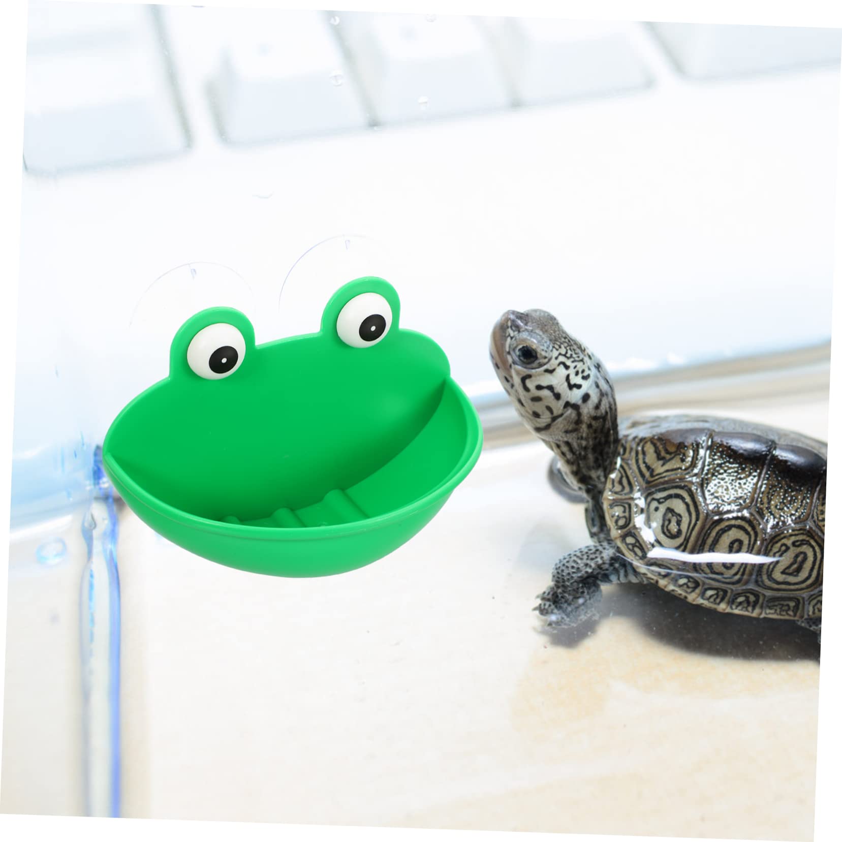 6stücke Reptilien Ruheplatz Für Terrarium Geeignet Für Amphibien Und Kleine Tiere Mit Saugnäpfen Dekorative Terrarium Zubehör Für Frösche Und Geckos