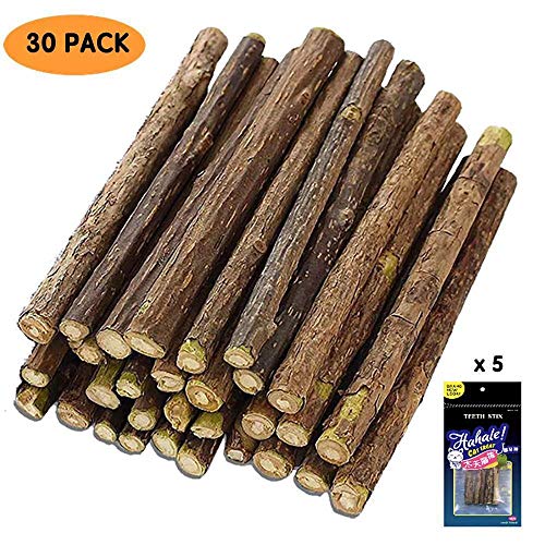 QIMMU Bastoncini in Legno di Erba Gatta Matatabi Gatti in Legno di Matatabi per la Cura Dentale aiutano Giocando ad eliminare alitosi e tartaro 100% Organica 30PCS