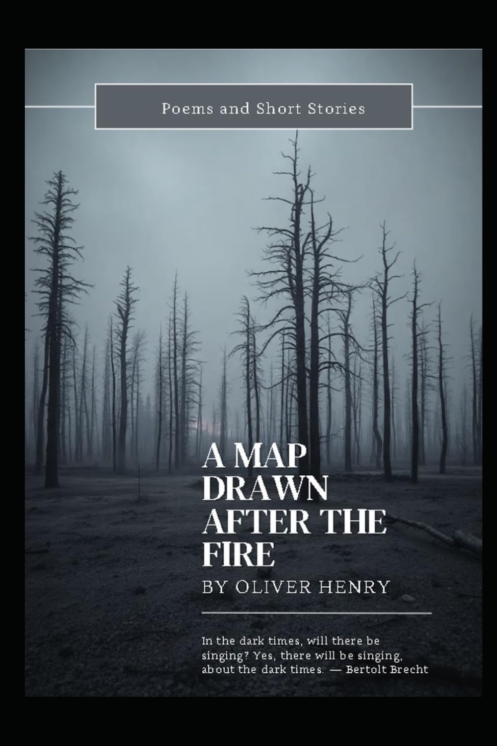 A Map Drawn After The Fire: Poems and Short Stories