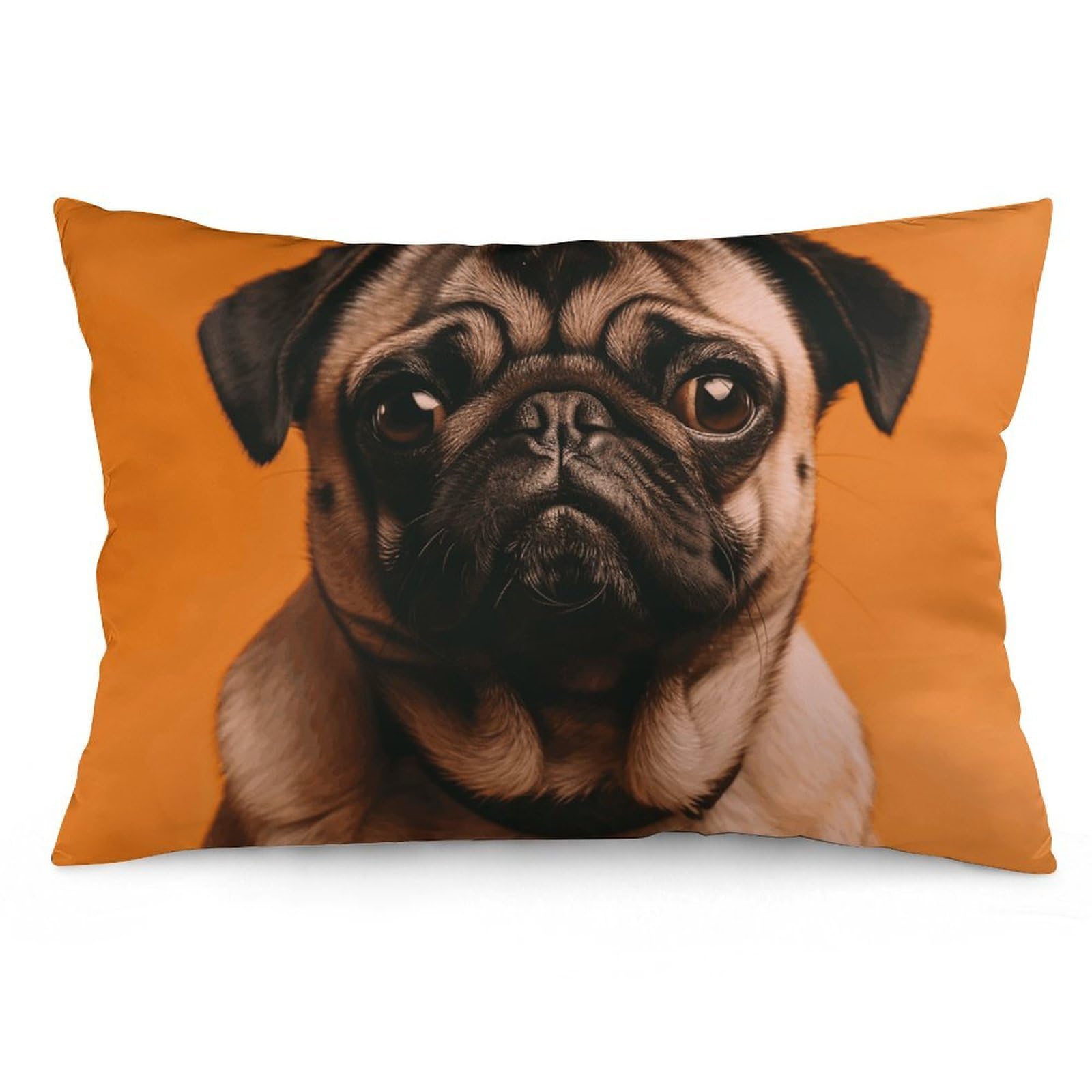 2 Pack Pillow Cases for Hair and Skin, Soft Breathable Pillow Case Covers with Hidden Zipper, A Pug Pillowcase 16 "x24 Pillow Covers for Sleeping Gift
