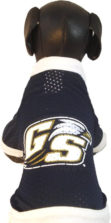 eagles jersey dog