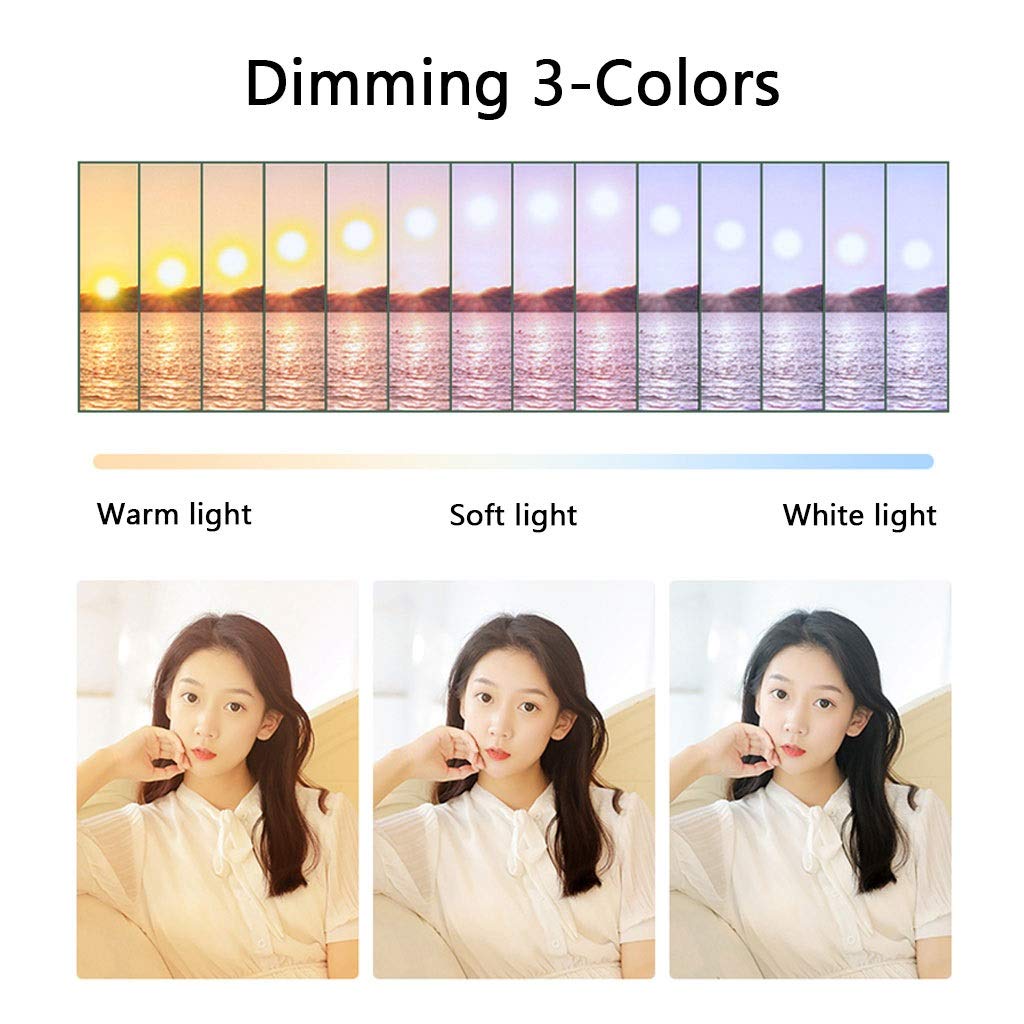 YXCKG Luce Ad Anello, 10" Anello Luminoso Selfie con Supporto per Cellulare, Ring Light LED con Telecomando Bluetooth per Trucco, Live Stream, Youtube, Facebook, Tiktok