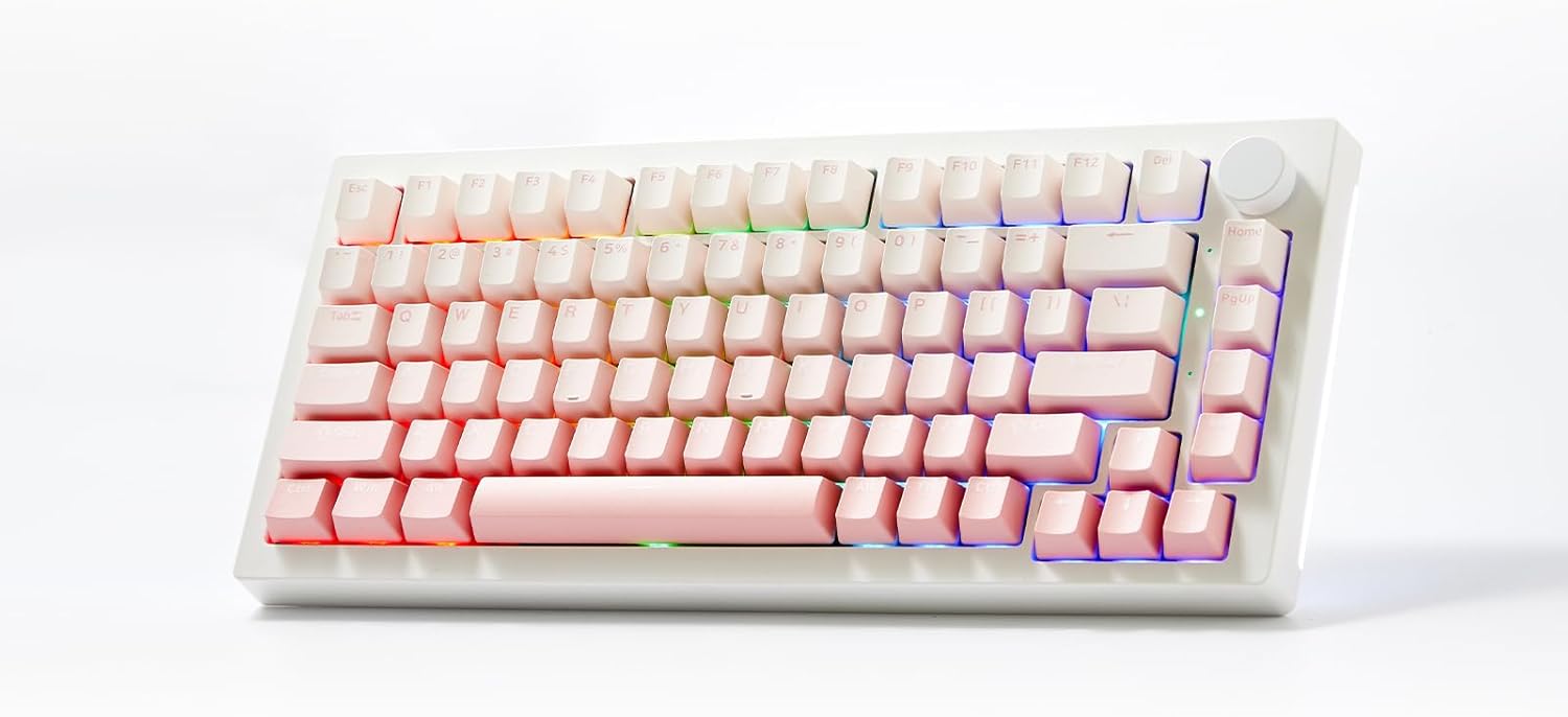 Akko 5075 V3 グラデーションピンクゲーミングキーボード 75% VIA マルチモードガスケットマウントメカニカルキーボード VIA プログラム可能 RGBバックライトホットスワップ可能なフロストピンクスイッチ付き