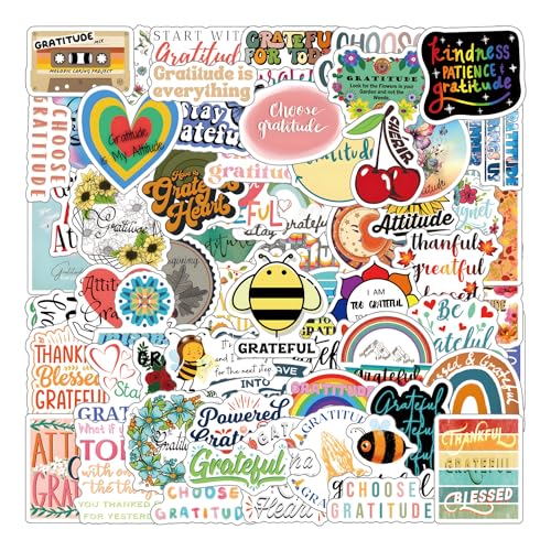128Pcs Gratitude Stickers Pack,Aesthetic Vinyl...