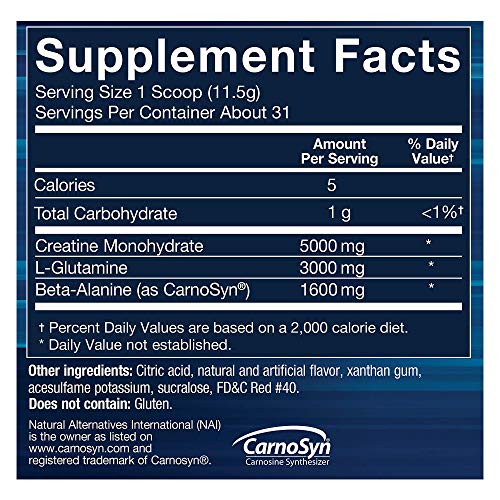 Bodyteach Creatine And Glutamine With Beta Alanine Fruit Punch - Supports Muscle Growth, Recovery And Immune Health (12.6 Ounce Powder) #TOP1