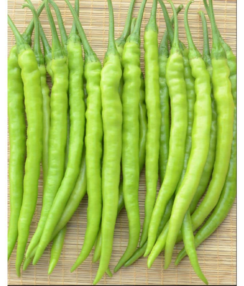 Long chilli seeds hybrids (180 seeds) (B0C4Y859CX) Amazon Price History, Amazon Price Tracker