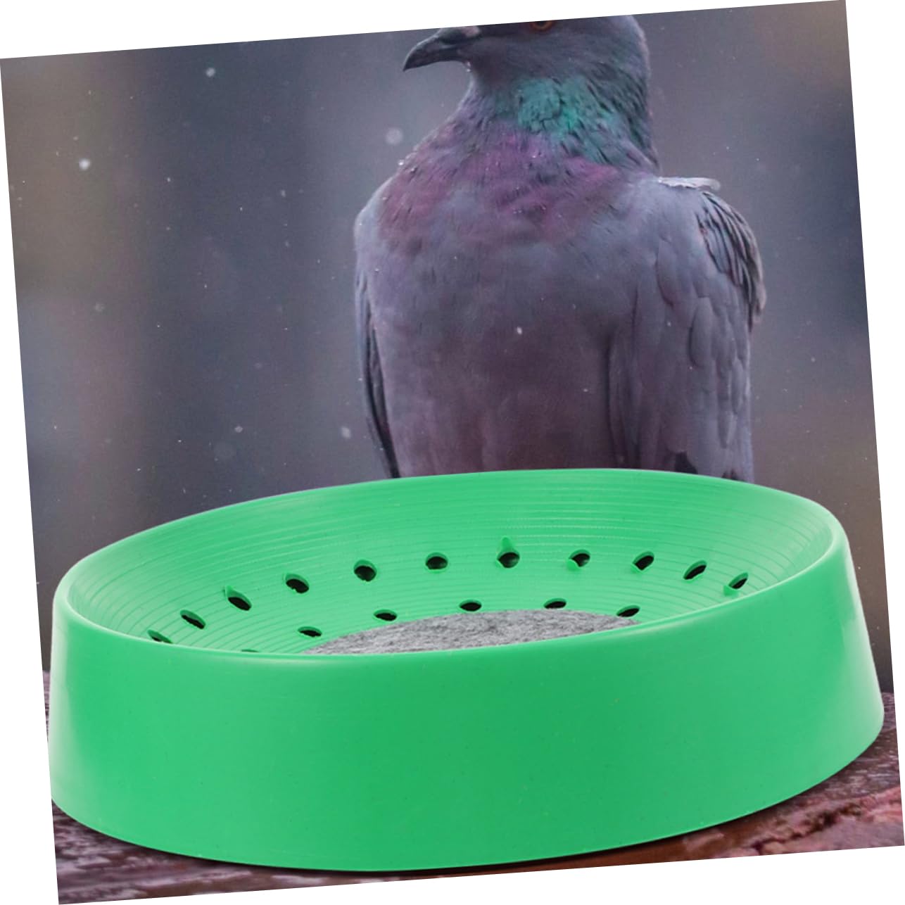 Taubennestschalen mit Kleinem Bodengitter aus Kunststoff 10 Stück und Komfortabler Oberfläche für Taubenzucht im Haustierbedarf oder Vogelnestkäfig