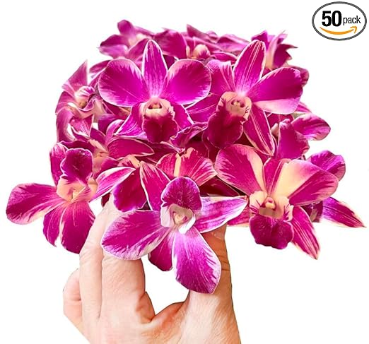Miami Fresh Orchid Flower OrchidClub USA Sunne Tropical Loose Bloom Head DIY Lei food drink decoration PURPLE (50 QUEEN BUTTERFLY)