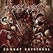 Combat Cathedral
