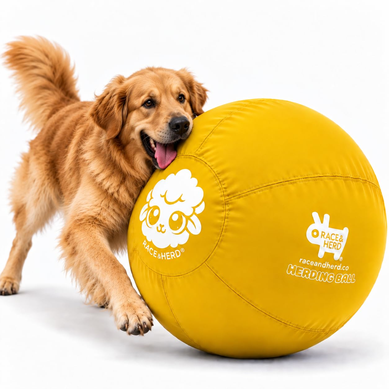Race&amp;Herd 30" Original Herding Ball — Cover, Inner Ball &amp; Pump (Gold)