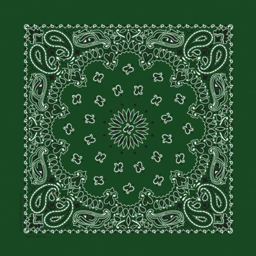 Hav-A-Hank Paisley Bandanna 22