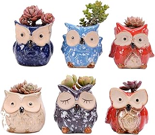 Hemoton Hoog kwaliteit 6 peças de vaso de flores carnudo criativo desenho animado coruja padrão suporte de flores de cerâmica artística decoração de vaso para casa