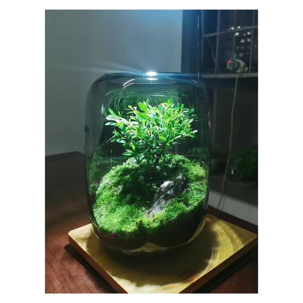 Aquarium Glas-Aquarium, transparent, grau, kleines Tisch-Aquarium, Wohnzimmer-Vase, Flasche