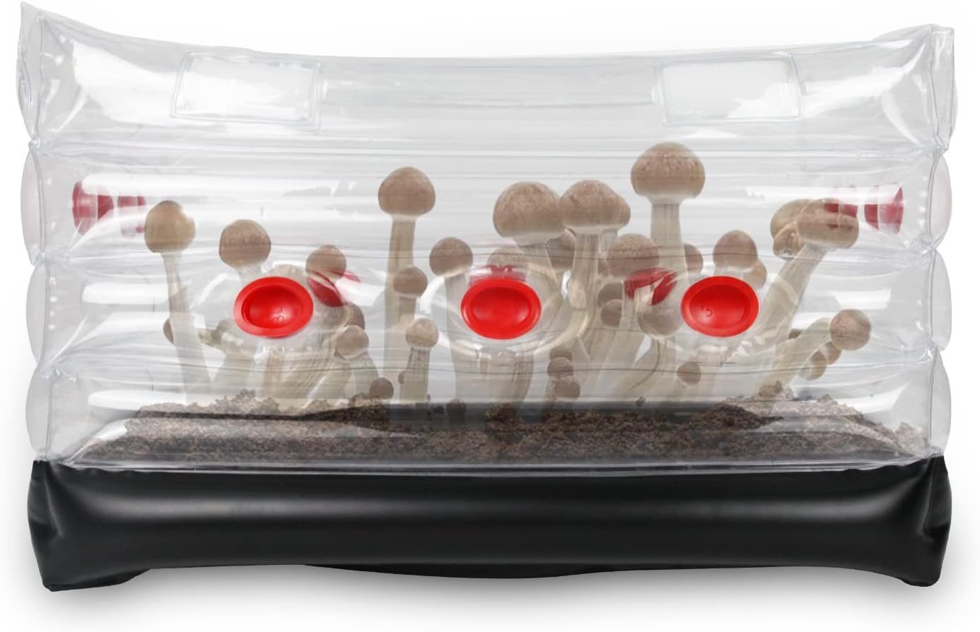 BoomBa Mushroom Monotub Kit, Home Inflatable Puerto Rico Ubuy