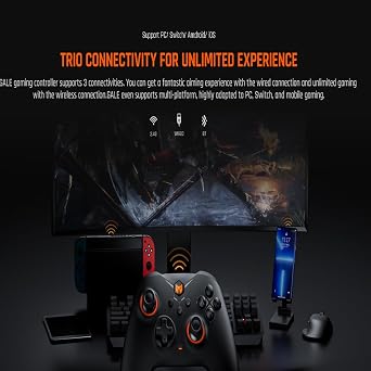 BIGBIG WON Gale PC Wireless Controller (Black)