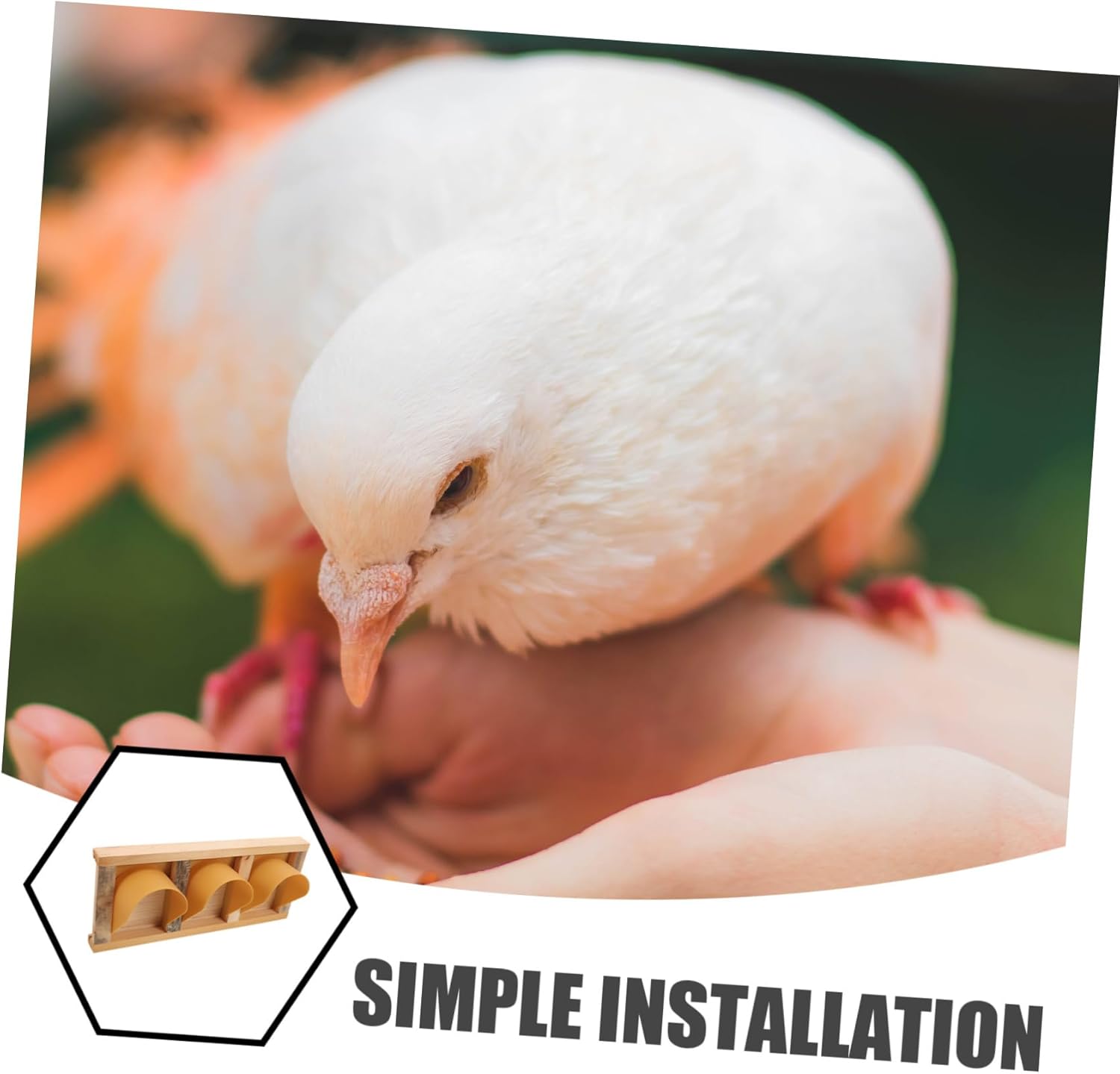 BESPORTBLE Pigeon Door Dove Entry Gate Wooden European Design Bird Racing Accessory