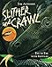 Slither and Crawl: Eye to Eye with Reptiles