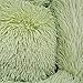 Zoomlie Flauschiges Hundebett, waschbar, für große und mittelgroße und kleine Haustiere, rutschfeste Unterseite, mit abnehmbarem Bezug, Größe S (40 x 30 x 12 cm), Violett