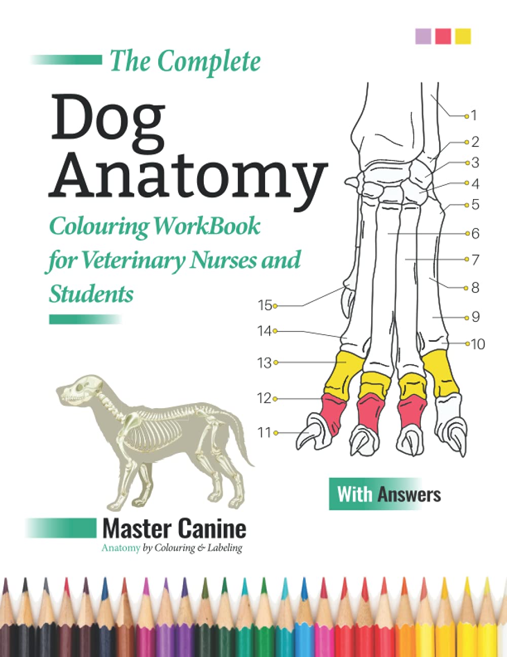 Buy The Complete Dog Anatomy Colouring WorkBook For Veterinary Nurses and Students Master