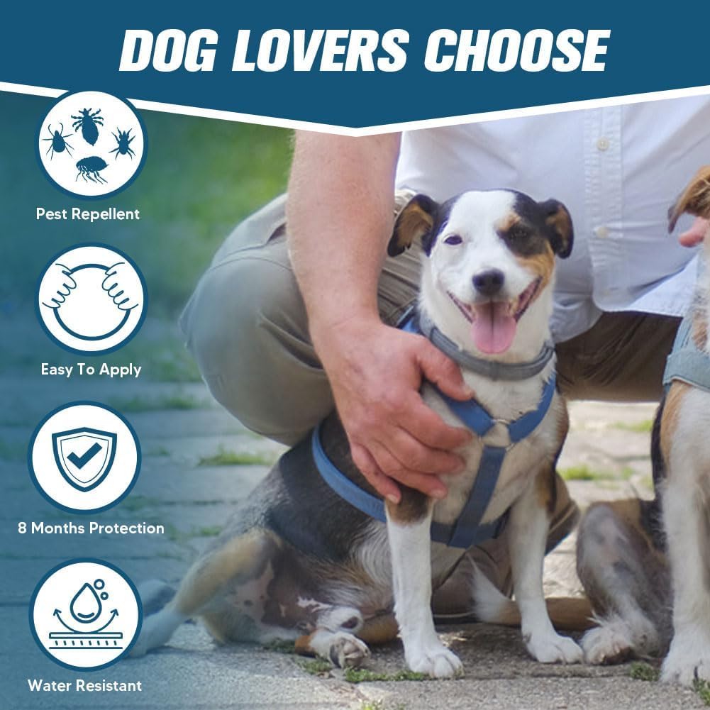 Flea & Tick Collar for Dogs: 8 Month Protection, Water-Resistant, Safe Natural Repellent for All Breeds.Made with Natural Ingredients. (Pack of 4) 1