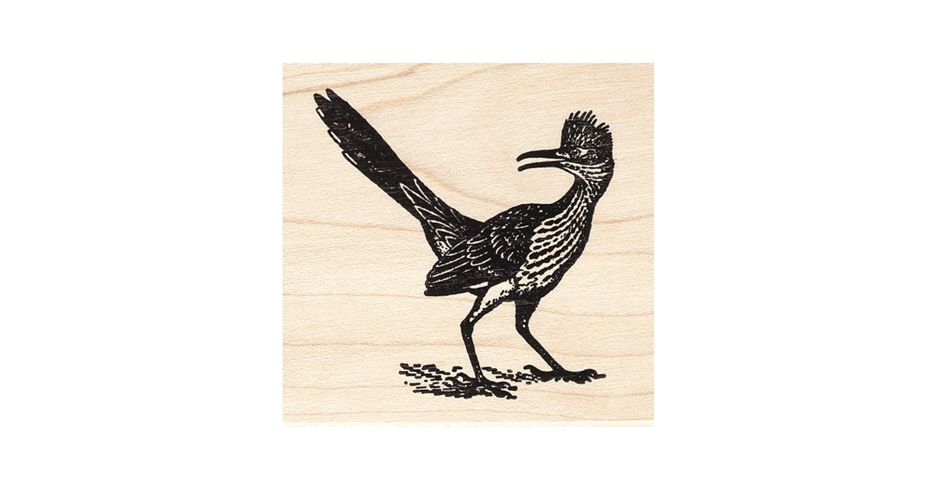 Amazon.com: Roadrunner Rubber Stamp New Mexico State Bird