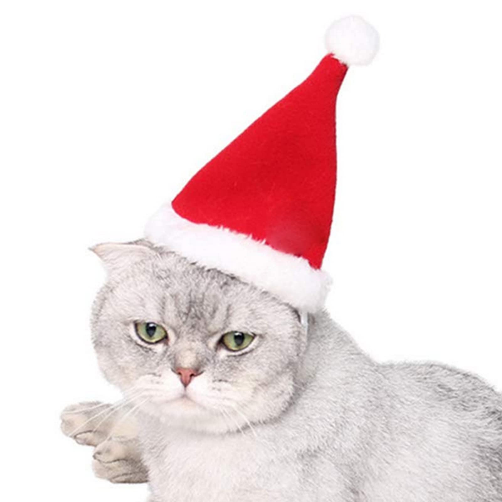 ジェジェ猫帽子クリスマス用 r22047145de04_16.jpg