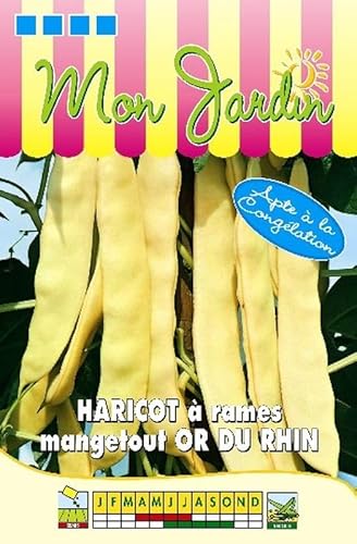 Sachet de graines de Haricot à rames beurre Or du Rhin - 100g - 100 g - haricot rames beurre - LES GRAINES BOCQUET