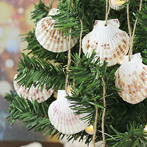 Hanging Christmas Tress Decoration 10pcs,Natural Shell with Rope 2.5-3.5 Inch, Seashell Ornaments for Beach Wedding