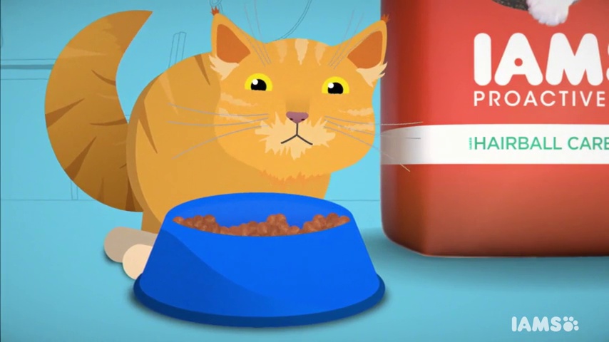 iams hairball control