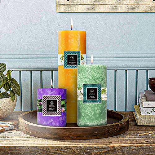 Cocosoy Candles 3"X 9 " King Size Scented Botanical Pillar Candles. Great Gift With Natural Floral Fragrance Oils For Aromatherapy & Home. Premium Organic Coconut Soy Wax " Grapefruit & Ginger " #TOP4