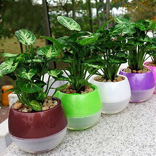 Mkono 5 Pack Self Watering Planter Plastic Flower Pot 4 Inch (Mixed Colors)