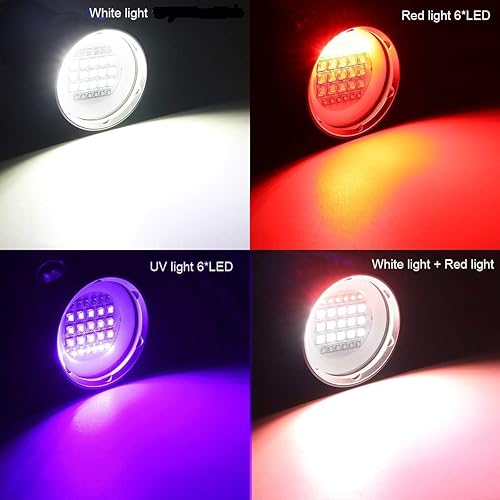 Linterna de video de buceo con luz roja UV blanca, ángulo de haz amplio de 120 grados, fotografía subacuática, linterna de buceo fluorescente,