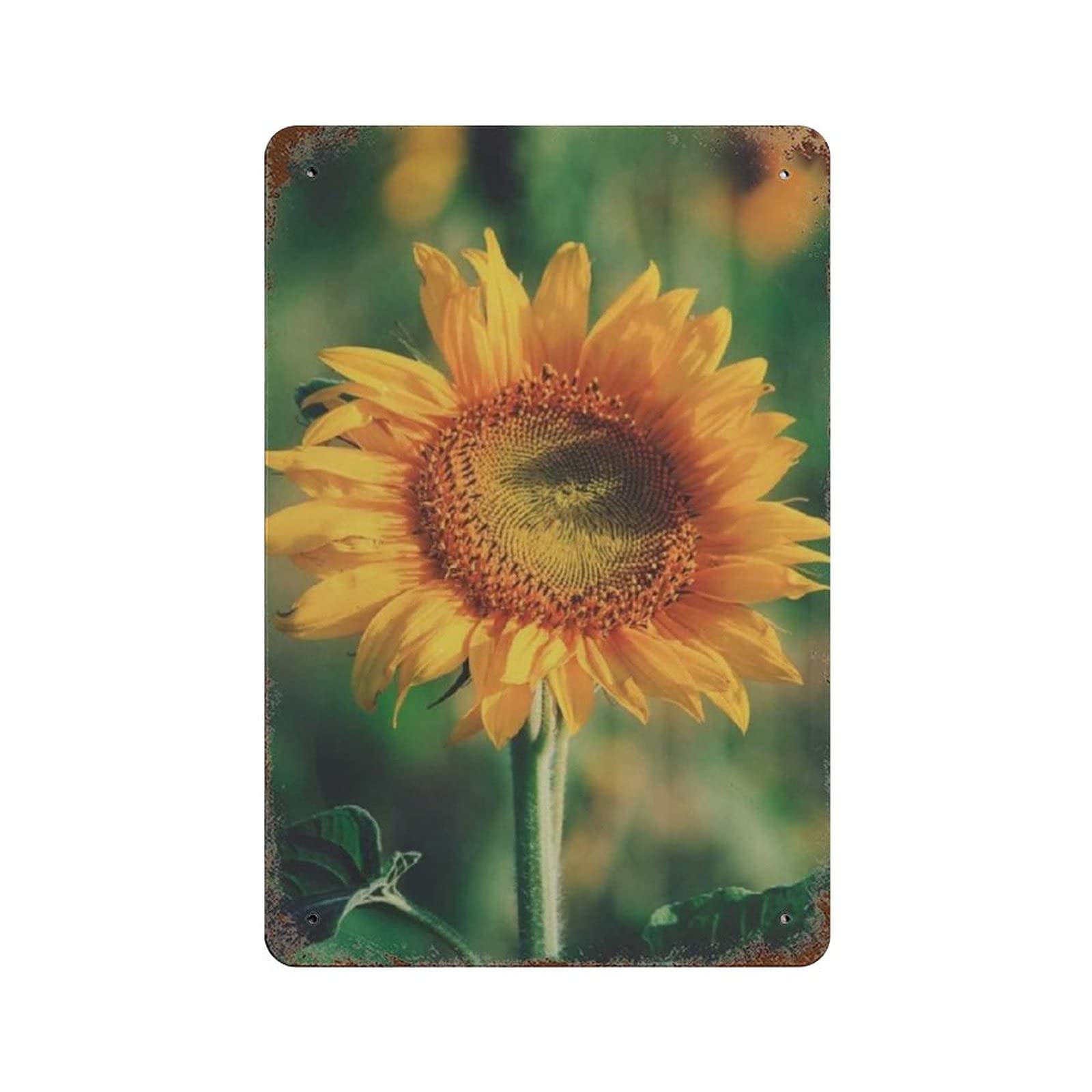 Sunny Sunflower Metal Signs, Fun Poster For Bar Kitchen Cafe Farmhouse Wall Decor 12x8 Inch
