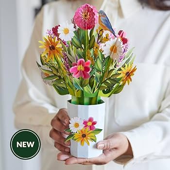 ☺︎love Amazon.com : Lovepop Everyday Black-Eyed Susan Pop-Up Flower