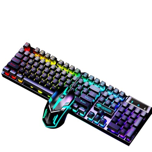 YOUCYYNB Wired Mechanical D320 Keyboard and Mouse Combo, 104 Keys Rainbow Backlit Gaming Keyboard with Number Keys & Blue Switch for PC Gamer Laptop, Up to 6400 DPI Mouse (Black)