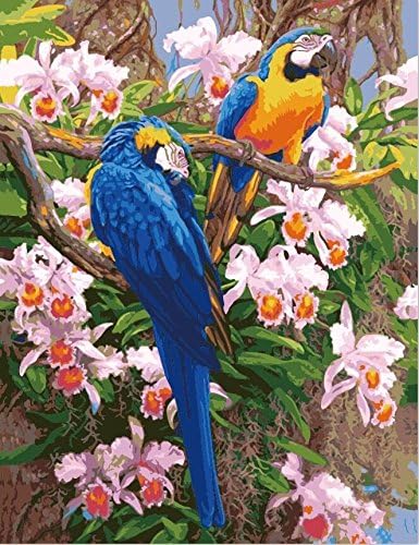 Framed Picture On Canva Wall Painting By Numbers Abstract Two Parrots Modern Home Wall Decor Painting Canvas Diy Art Painting