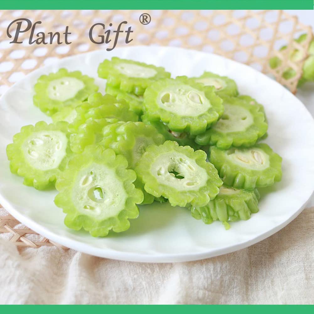 Plant Gift 100% Pure Balsam Pear Powder 苦瓜粉 Natürliches Bittermelonenmehl, Großes Aroma für Getränke, Smoothie, Kuchen und Getränke, Nicht-GVO Pulver, Kein Füllstoff, Keine Zusätze 100G/3.25oz