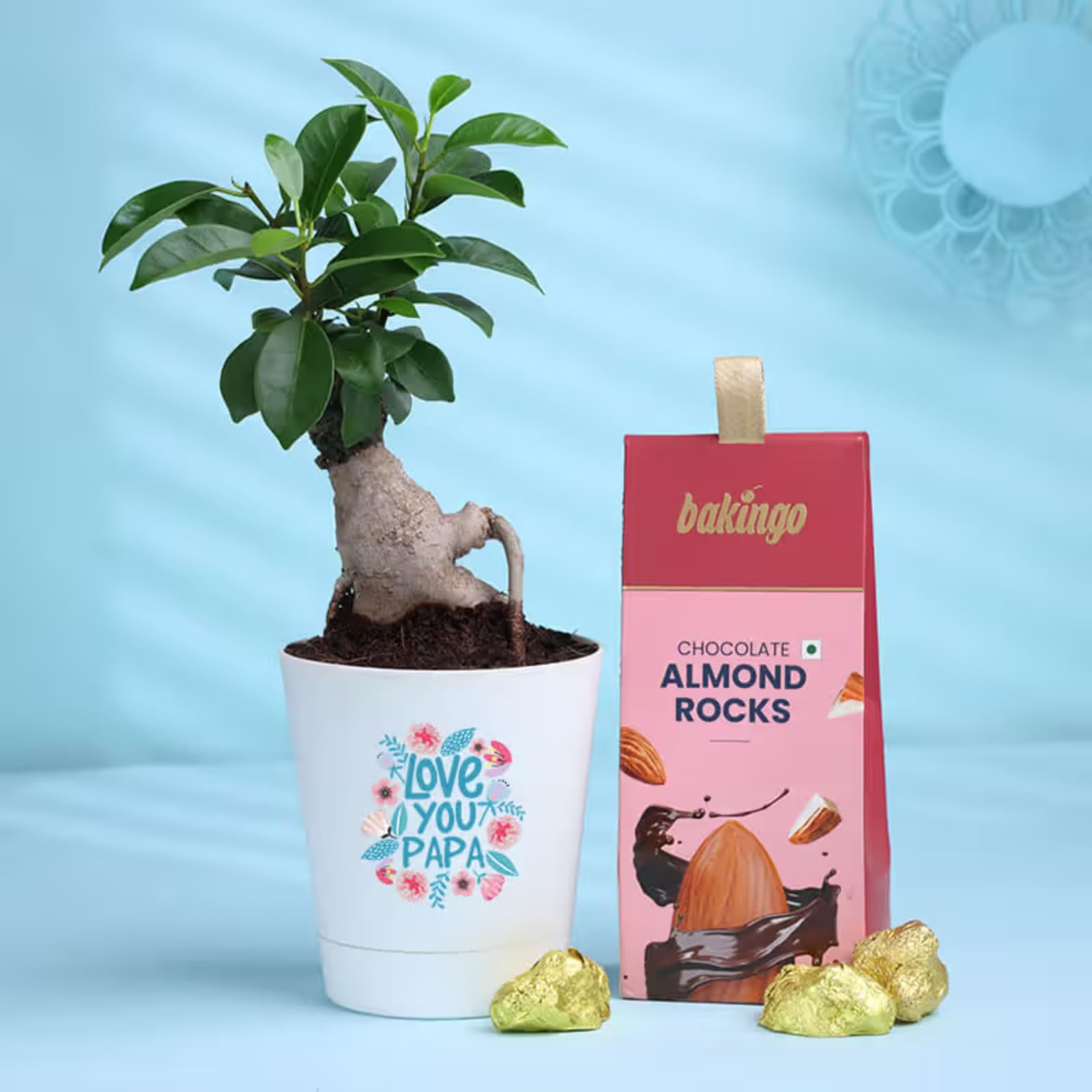 FlowerAura Air Purify Ficus Bonsai Live Indoor Plant in Love You Papa Pot With Almonds Rocks For Birthday Gift & Father's Day Gift for Dad, Grandfather, Father-in-Law, Baba, Appa (Same Day Delivery)-image-43