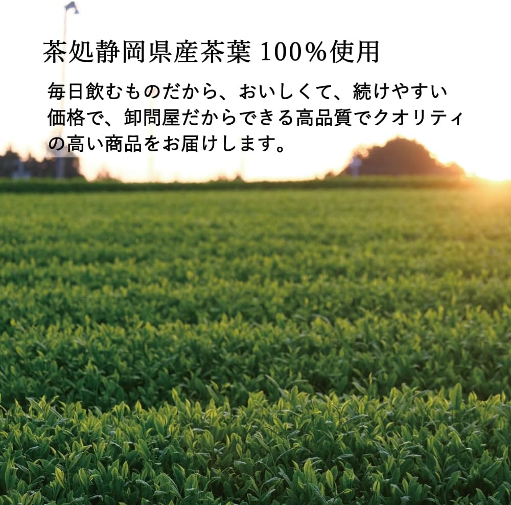 パウダー 1kg 静岡県産 茶葉100% 老舗日本茶専門店 カネス製茶 粉末茶 緑茶 業務用 粉末緑茶 【謹】 大容量