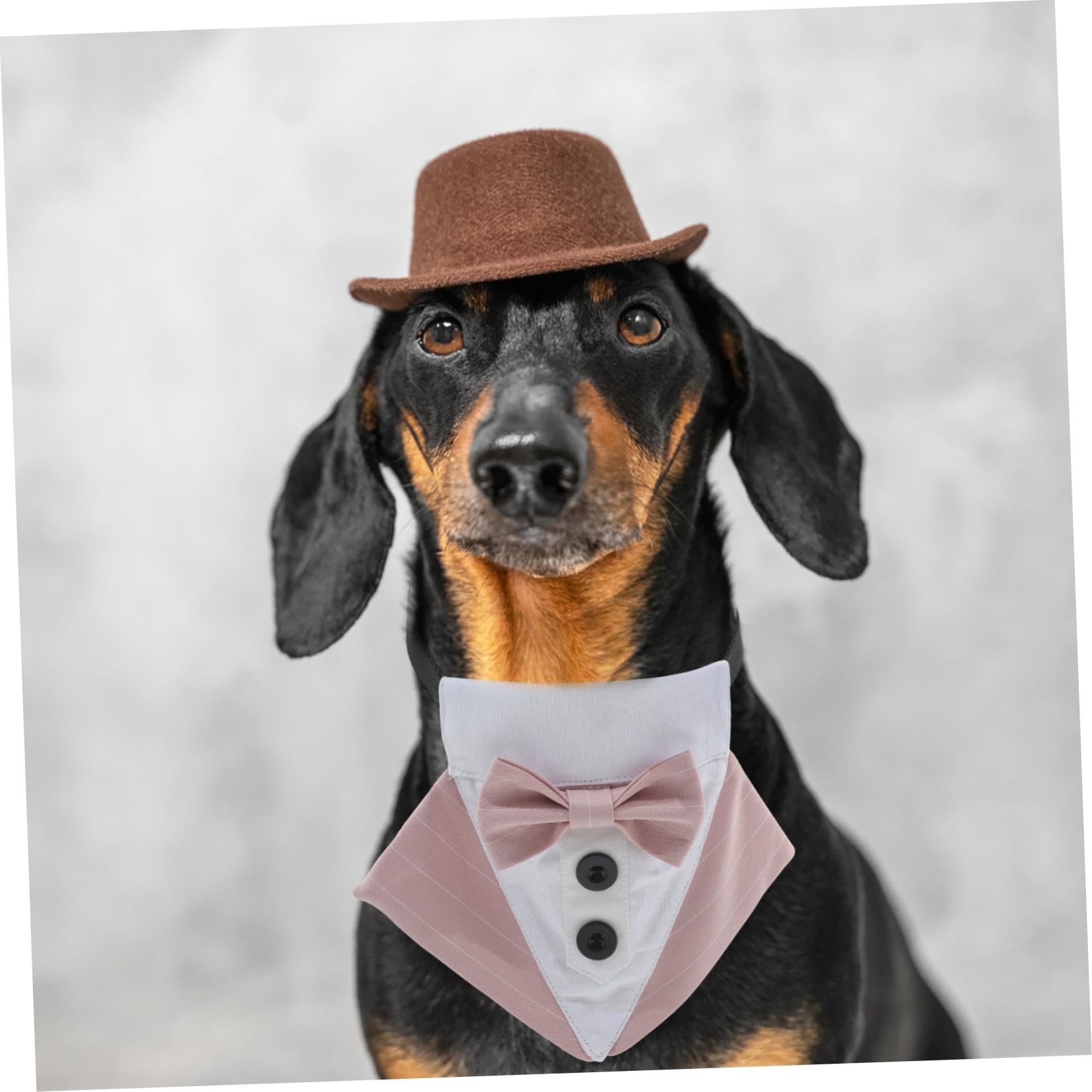 VICASKY 4 Stück Verstellbares Hundebandana mit Schleife Kühlendes Pet Cool Bib aus Polyester Modisches Hundehalstuch für Partys und Festliche Anlässe Komfortabel und Dekorativ S Rosa