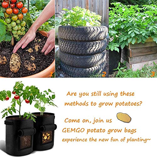 Gemgo 3 Pack Potato Grow Bag, 7 Gallon Aeration Waterproof Fabric Sweet Potato Planter, Harvest Window Vegetable Peanut Growing Box Bucket Pot For Nursery Garden (3 Pack, Black Brown Green) #TOP4