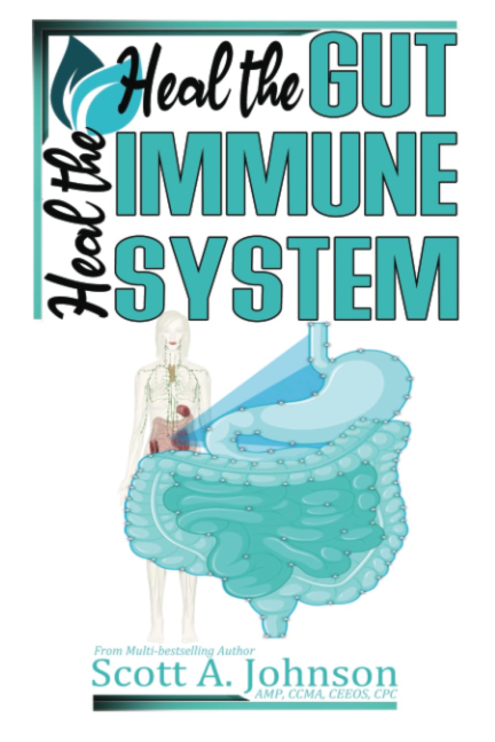 Heal the Gut, Heal the Immune System