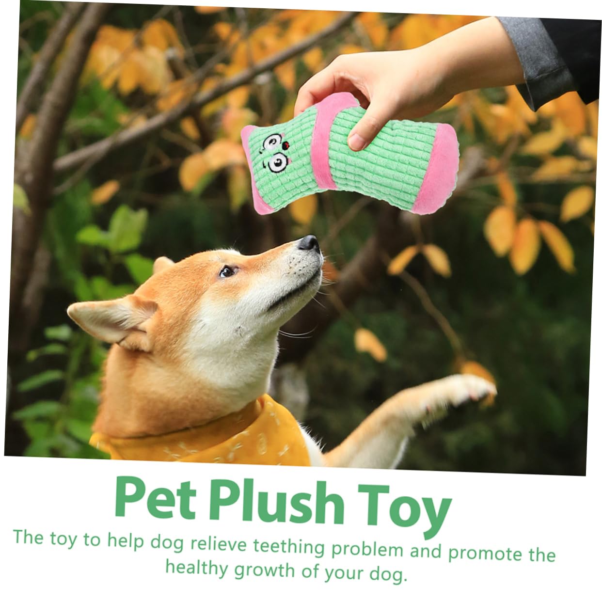 SUPVOX 10piezas Juguete para Perros De Peluche Chirriante Juguete De Masticar para Cachorros Forma De Calcetín para Interactivo y Teething