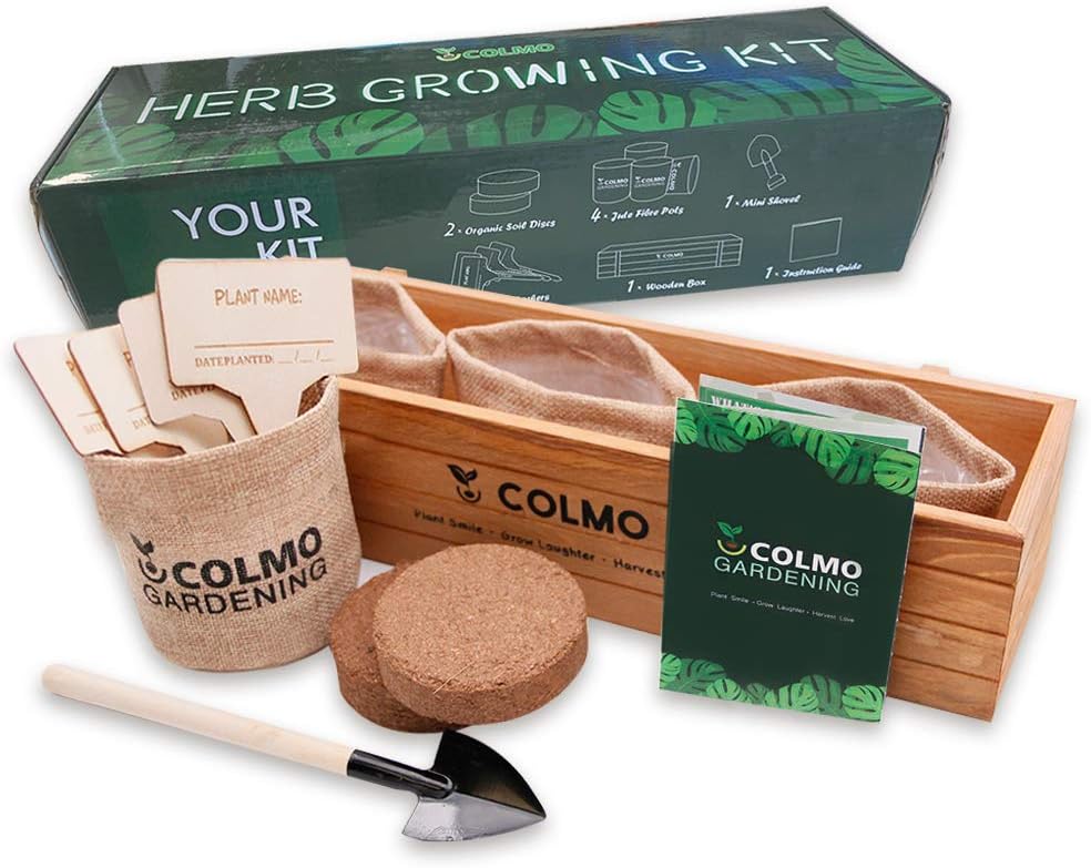 Indoor Herb Garden Starter Kit - Herb Planter Seed Starter Window Herb Garden Growing Kit Indoor Gardening Set