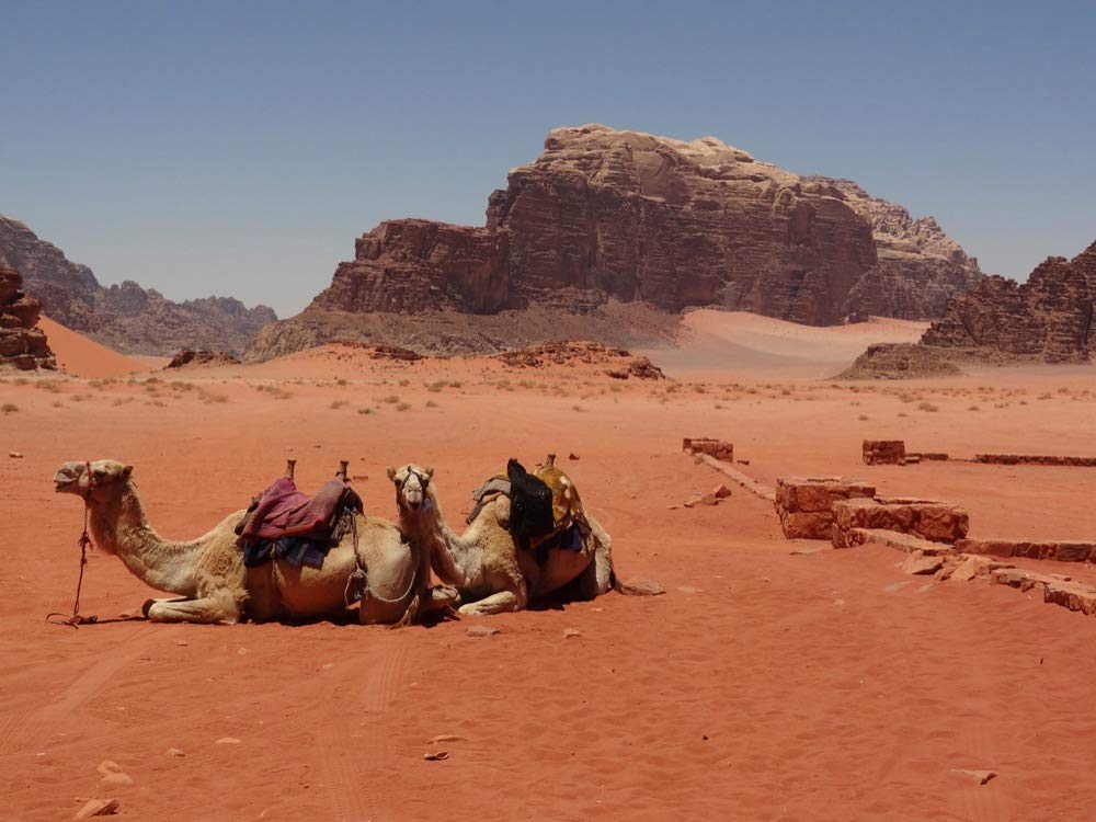 100 Highlights Israel mit Palästina und Jordanien. Alle Ziele, die Sie gesehen haben sollten. Kulturelle Schätze, bizarre Landschaften, lebendige Städte, Strände und Wüsten.