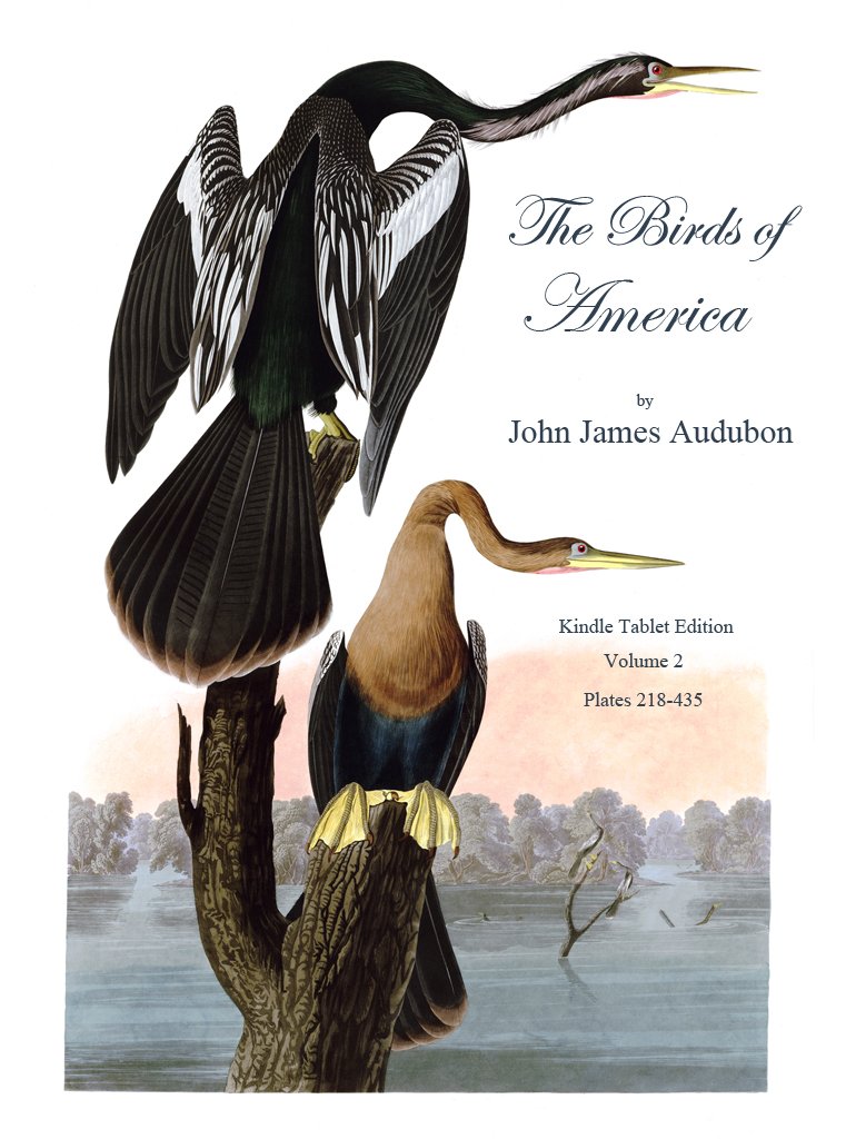 The Birds of America Volume 2